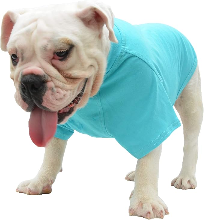 Lovelonglong Bulldog Clothes Dog Clothing Blank T-Shirt Tee Shirts for French Bulldog English Bulldog American Pit Bull Pugs 100% Cotton Skin Care Turquoise B-XL