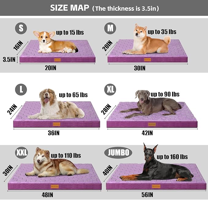 Patas Lague Orthopedic Dog Bed for Medium Dogs, Waterproof Soft Warm Comfortable Egg Crate Foam Medium Pet Beds Mat with Removable Washable Cover and Nonskid Bottom, 30''X20'' Purple