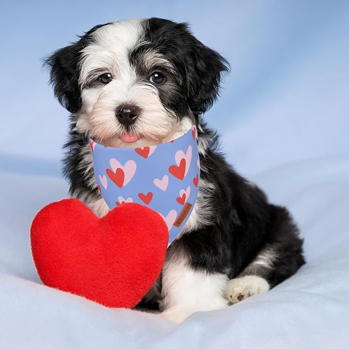 ADOGGYGO Valentine Dog Bandana, Blue Pink Heart Pet Scarf, Premium Durable Fabric, Adjustable Fit Pet Valentine Bandanas for Small Dogs Puppies (Small)
