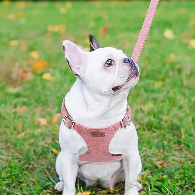 Dog Harness and Leash Set, XXS No Pull Adjustable Puppy Harness with Multifunction Pink Dog Leash and Dog Collar, Soft No Choke Escape Proof Pet Harness Vest for Small Dogs and Cats (Red, M)