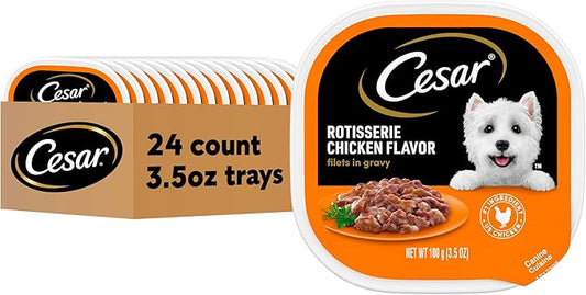 Cesar Filets in Gravy Adult Wet Dog Food, Rotisserie Chicken Flavor, 3.5 oz. (24 Count, Pack of 1)