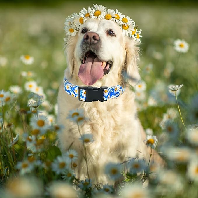 Tunkoo Blue Daisy Dog Collar, Cute Adjustable Premium Cotton Collar Durable Plastic Buckle for Small Medium Large Boys Girls Dogs, L