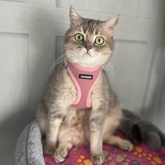 Voyager Step-in Air All Weather Mesh Harness and Reflective Dog 5 ft Leash Combo with Neoprene Handle, for Small, Medium and Large Breed Puppies by Best Pet Supplies - Set (Pink), S