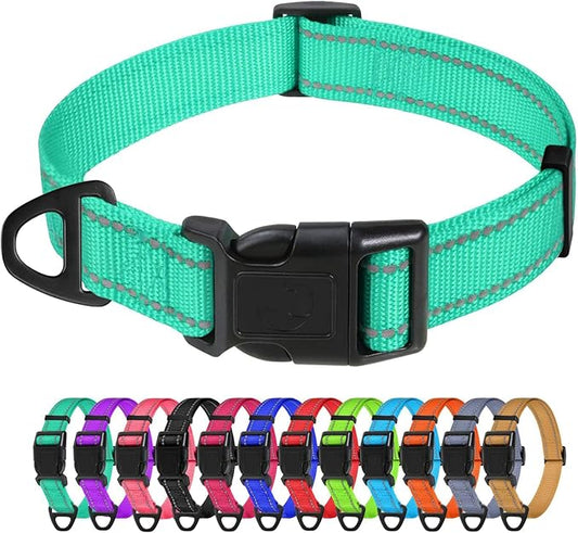 TagME Reflective Nylon Dog Collars, Adjustable Classic Pet Collar with Quick Release Buckle for Small Dogs, Turquoise, 3/4" Width