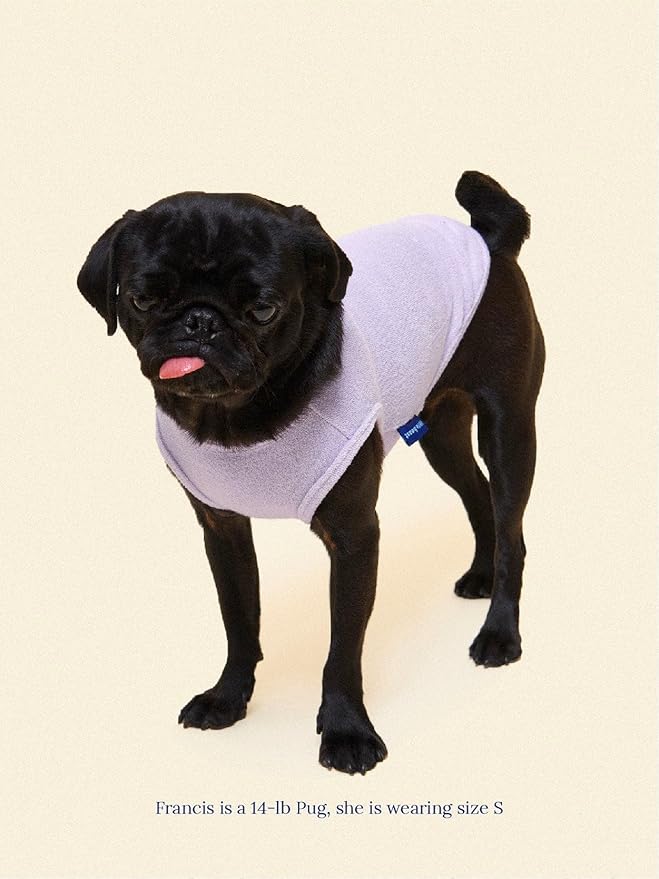 ADEDAS Sleeveless Shirt - Purple L