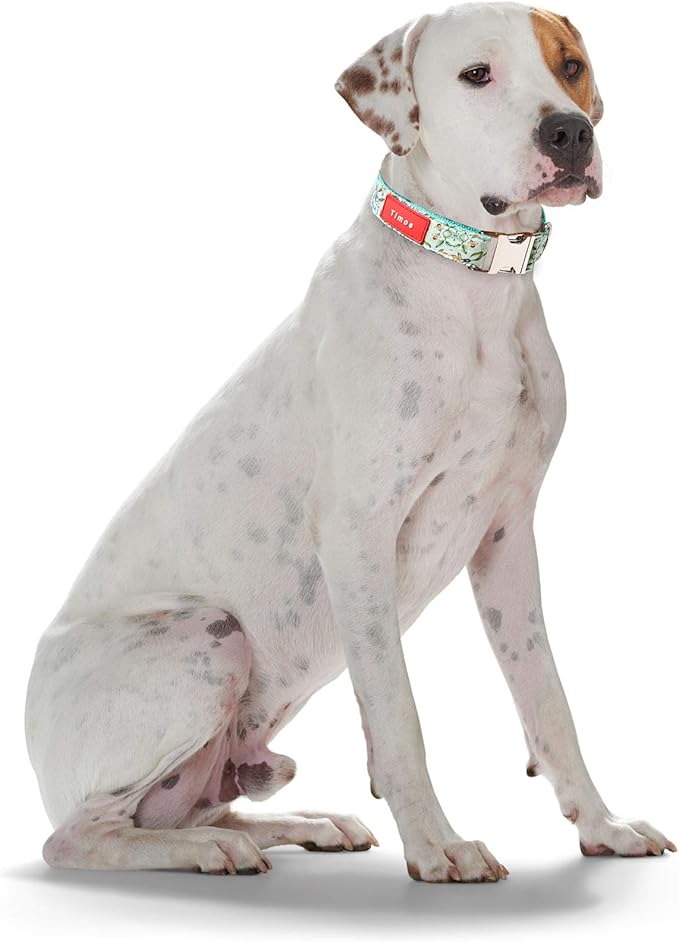 Timos Dog Collar, Adjustable Soft Dog Collar for Small Medium Large Dogs, Patterned Puppy Collars with Quick Release Buckle for Boy and Girl Female Dogs (Light Cyan, Small)