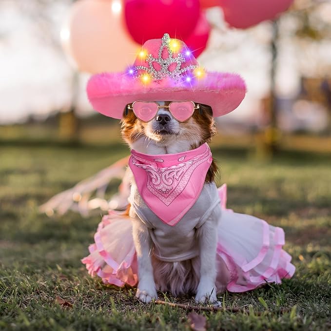 Aliceset 3 Pcs Pet Cowboy Costume Cat Cowboy Accessories Set Neon Sparkly Dog Cowboy Hat Paisley Bandanna Collar and Sunglasses LED Light up Western Small Cat Dog Cowgirl Costume(Pink, Crown)