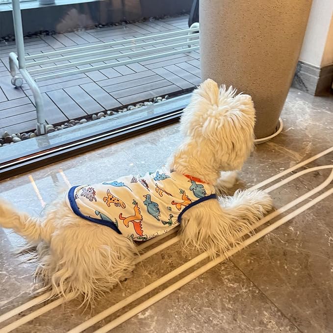 Dog Clothes Puppy Cute Dinosaur Pet Shirt Dog Vest Cat Clothes Doggie Boy Girl T Shirts for Small Dogs Cat Teacup Chihuahua Yorkie (Dino Vest, Small)