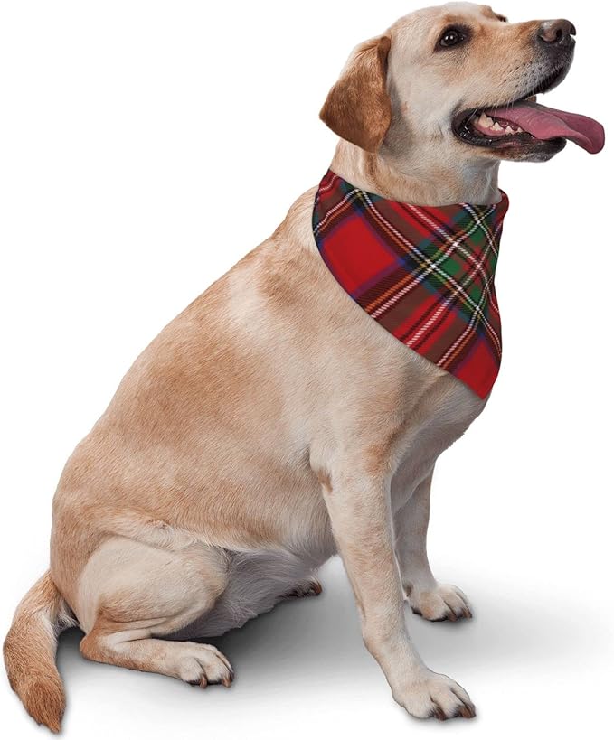 Triangle Plaid Tartan Clan Stewart Red Green Pattern Cat and Dog Scarf, Plaid Pet Scarf for Small to Large Dogs and Cats