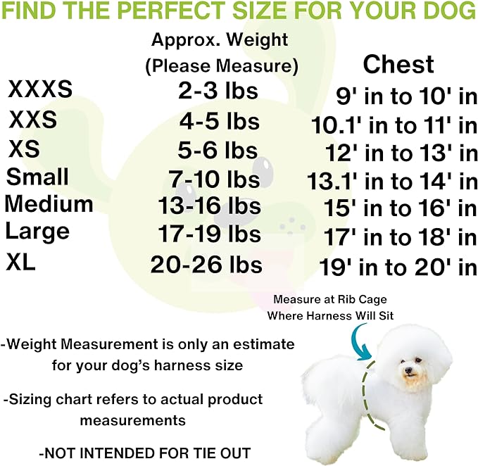 EcoBark Step in Dog Harness - Eco-Friendly Teacup Dog Harnesses for XXS, XS, and Small Dogs - Reflective and Adjustable Mini Body Halter Vest -Tiny Soft Mesh Toy Breed Harness (Mint, XXS)