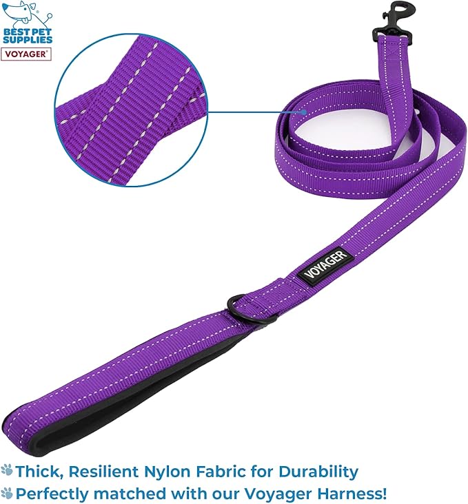Voyager Step-in Air All Weather Mesh Harness and Reflective Dog 5 ft Leash Combo with Neoprene Handle, for Small, Medium and Large Breed Puppies by Best Pet Supplies - Purple, Large