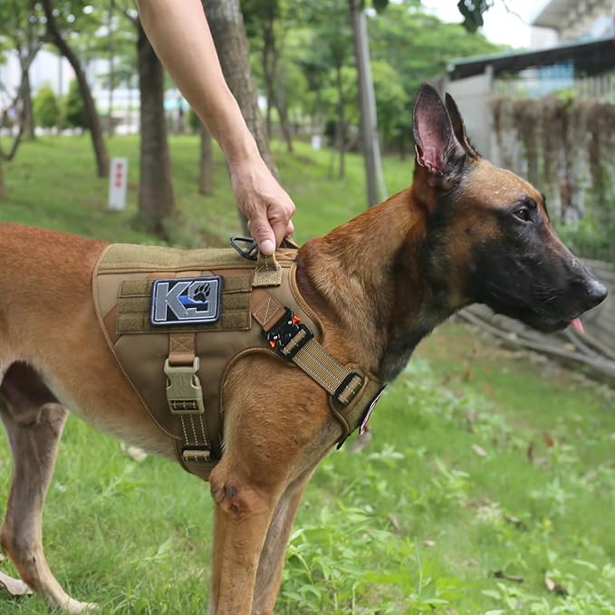 ICEFANG Tactical Dog Harness,Large Size, 2X Metal Buckle,Working Dog MOLLE Vest with Handle,No Pulling Front Leash Clip,Hook and Loop Panel