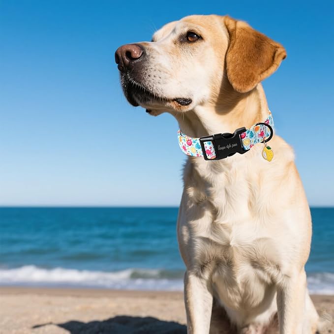 Unique style paws Dog Collar Plastic Buckle with Pendant Blue Lemon Crab Puppy Collars for Small Medium Large Boys Girls Dogs