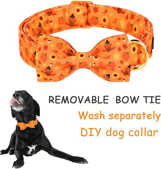 Unique style paws Halloween& Dog Collar with Bow Tie Pumpkin Cotton Collar Adjustable Puppy Collar Best Thanksgiving Gift for Small Medium Large Dogs-Turkey & Pumpkin Theme