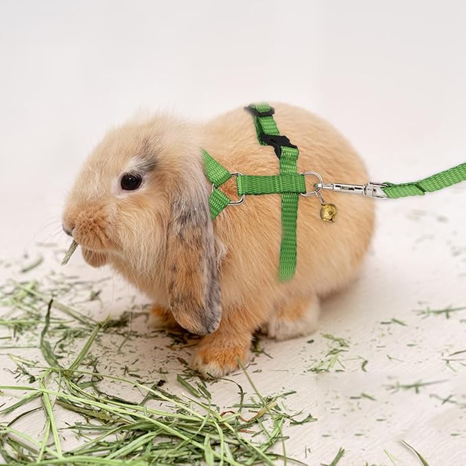 Hypeety Rabbit Bunny Harness with Leash Adjustable Soft Nylon Harness Rabbit Vest Harness Lead Leash Pink Blue Lead Leash All Season for Small Animals (Green)