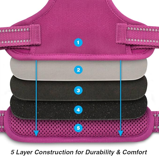 No Pull Dog Harness for Large Dogs, Dual Leash Attachments, Adjustable Soft but Strong Pet Harness with 3M Reflective Technology, Fuchsia Nylon, XS (Chest: 13-16")