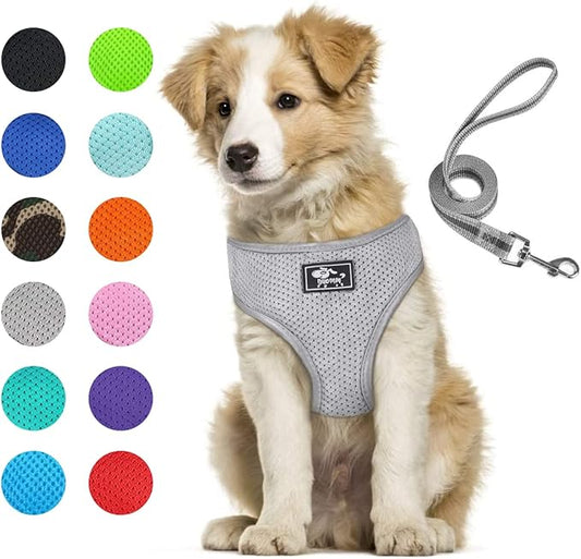 Puppy Harness and Leash Set - Vest for Small and Medium Dogs - Adjustable Reflective Step-in Harness for Dogs, Cats - Soft Mesh Comfort Fit No Pull No Choke (L, Grey)