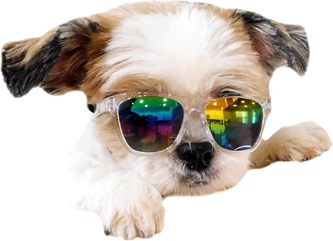 G014 Dog Cat Pet 80s Sunglasses Goggles for Small Breeds up to 15lbs (2-Pack Black+ Clear-Rainbow Mirror)