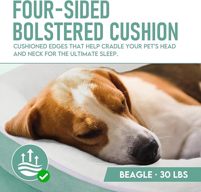 OhGeni Orthopedic Dog Couch Large Sized Pet Beds for Fathers Gifts with Comfort Foam Support, Soft Indestructible Fabric, Machine Washable Waterproof Removable Cover, 35-Inch (Turquoise)