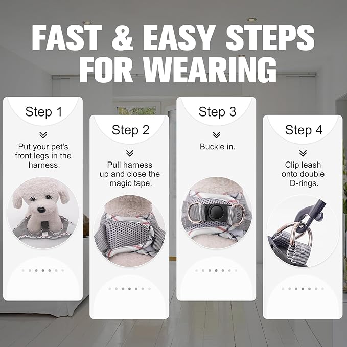 BEAUTYZOO Dog Harness and Leash Set for Small Medium Dogs,No Pull Step-in Harness for Puppy S M Sized Dogs and Cats,Air Mesh Adjustable Breathable Soft No Chock Escape Proof Vest Harnesses,Grey L