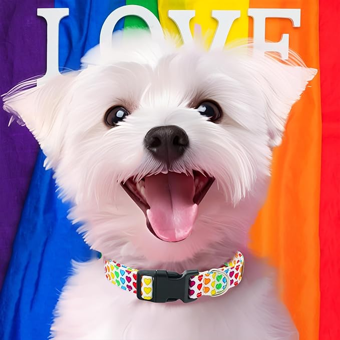 Tunkoo Pride Dog Collar with Colorful Heart, Cute Adjustable Premium Cotton Collar Durable Plastic Buckle for Valentines Day Small Medium Large Boys Girls Dogs, L