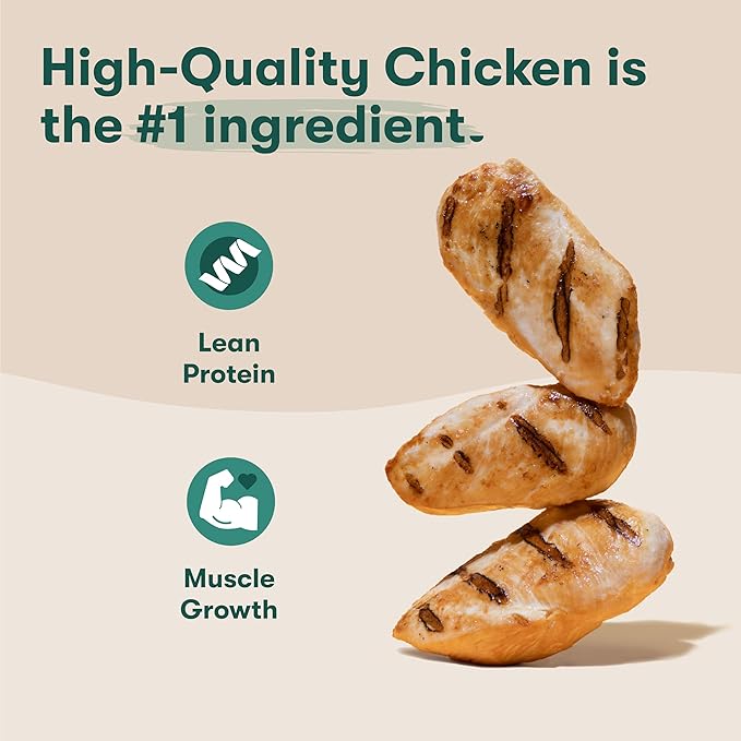 Jinx Oven-Baked Chicken Bone Broth Biscuit Treats, Crunchy, All Natural, Superfood-Rich with Real Chicken, Pumpkin & Blueberries, 16oz