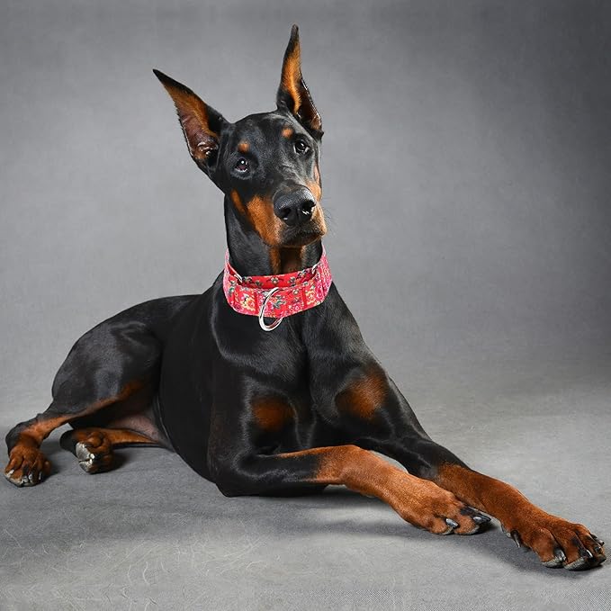 Martingale Dog Collar 1.5” Width – Heavy Duty Adjustable Training Collar with Stylish Red Floral Design – Secure Fit for Medium & Large Dogs – Perfect for Walking, Hunting & Outdoor Adventures L