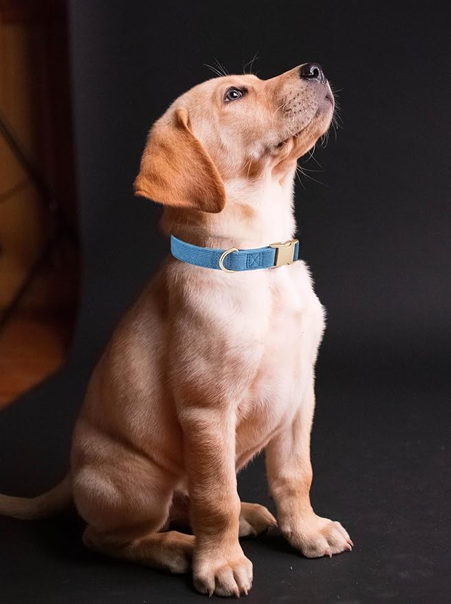 Soft Corduroy Dog Collar and Leash Set, Adjustable Cotton Dog Collars with Metal Buckle and Lead for Large Dogs,Blue