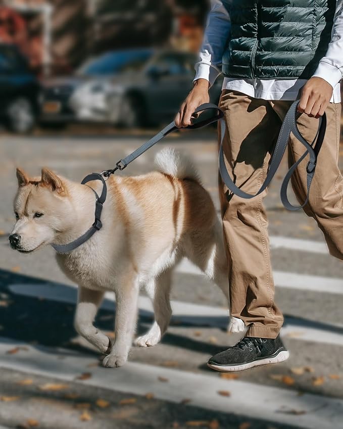 FunTags Reflective Martingale Collar for Dogs, Quick Release Buckle, 5FT Double Handle Dog Leash Padded, Dog Collar and Leash Set, Adjustable for Large Dogs (Grey, L)