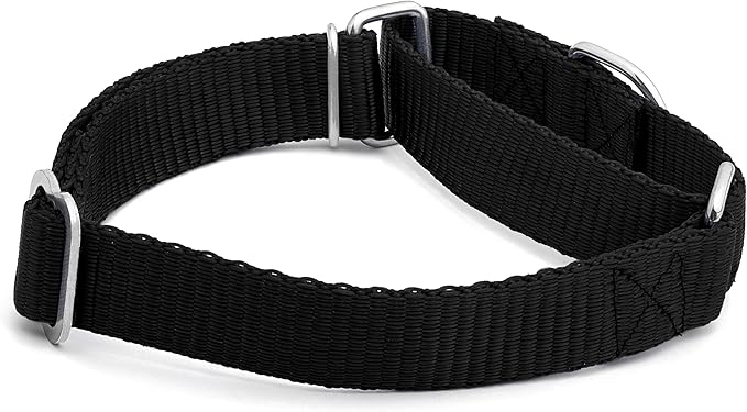 Martingale Dog Collar - Heavyduty Nylon Dog Collar with No Buckle Dog Training Collars for Medium Dogs (Black, Large)