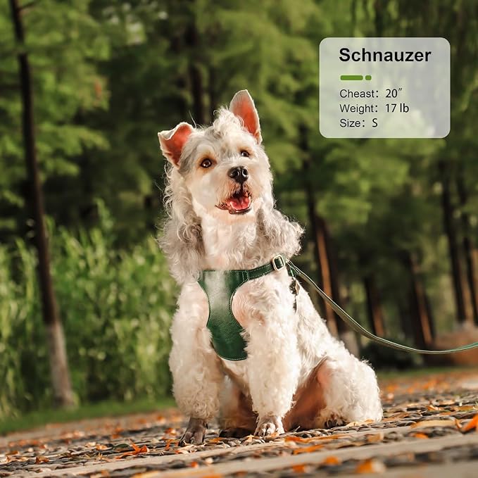 Didog Small Dog Harness and Leash Set, Soft & Lightweight Dog Vest Harness, Adjustable Leather Dog Harness for Small Dogs, Green, S