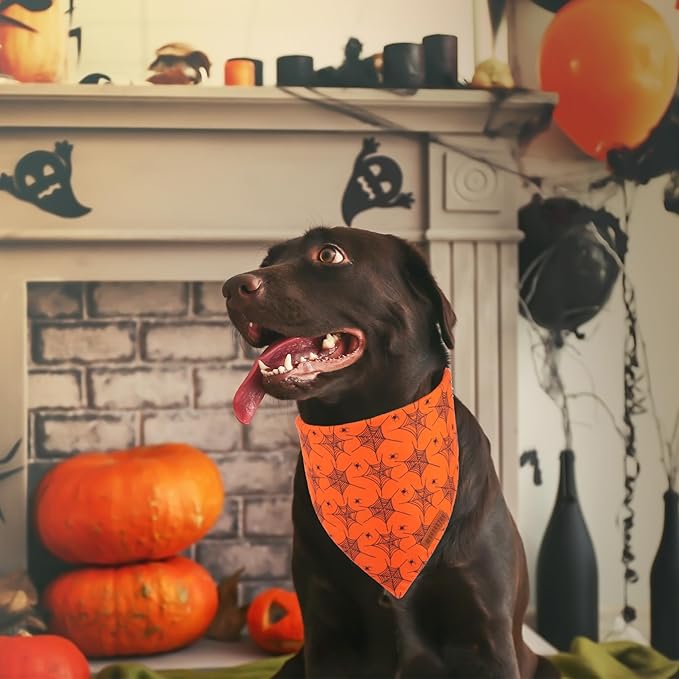 ADOGGYGO Halloween Dog Bandana, Spider Web Ghost Pet Scarf, Premium Durable Fabric, Orange Halloween Bandanas for Extra Large Dogs Pets (X-Large)