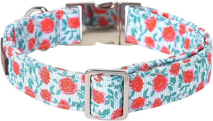 Lionet Paws Dog Collar, Comfortable Adjustable Cute Collar with Metal Buckle for Male Female Puppies, Rose, XS, Neck 8-12 inches