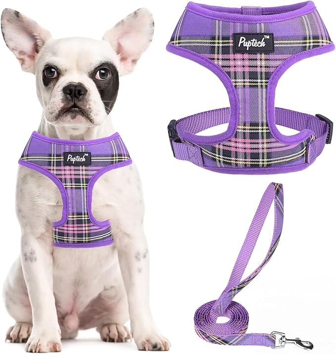 PUPTECK Soft Mesh Dog Harness and Leash Set Pet Puppy Cat Comfort Padded Vest No Pull Harnesses, Purple, M