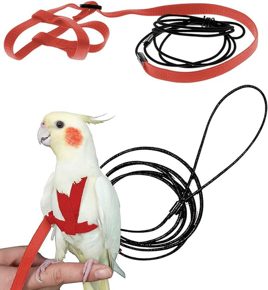 CIEOVO Bird Harness, Adjustable Parrot Nylon Leash with Anti-bite Design for Outdoor Activities Training, Suitable for Eastern Bluebonnet Parrot, Cockatoo, Parakeet, Doves 6.2ft (S)