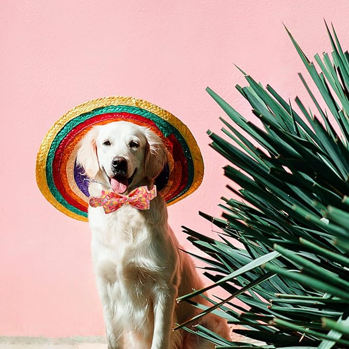 Dog Collar- Fruit Print Adjustable Pet Bow Collar Girl or Boy Puppy Collars Bowtie Cute Soft Duarble Collars for Small Medium Large Dog