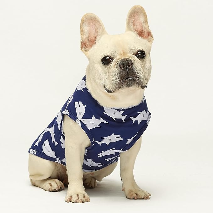 Fitwarm 3 Pack Shark Dog Shirt, Summer Dog Clothes for Small Dogs Boy Girl, Lightweight Pet Tshirt, Cat Outfit, Light Blue, Navy Blue, Royal Blue, Medium