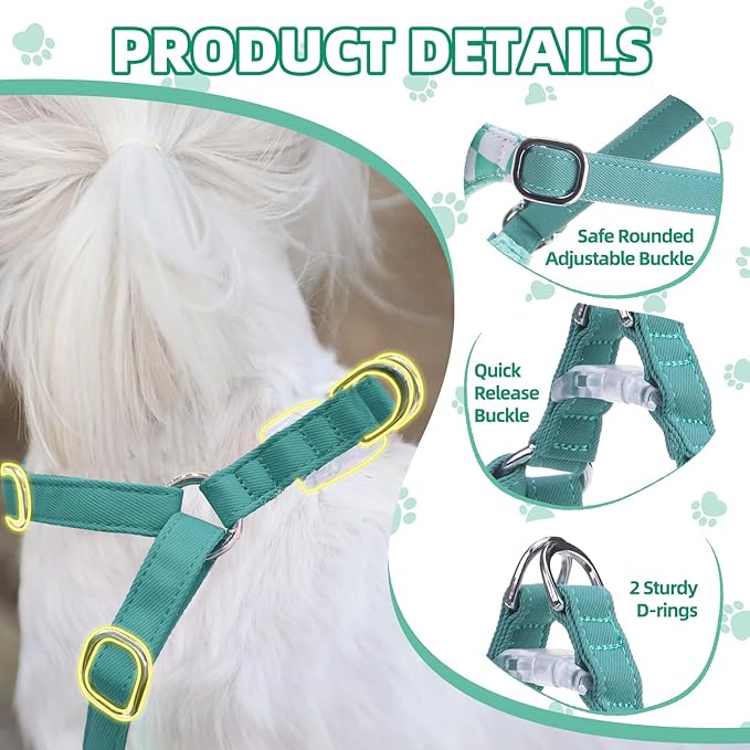 PUPTECK Dog Harness and Leash Set Small Sized, Step-in Cute Puppy Harness, Soft Lightweight Padded Vest, Escape Proof No Pull Pet Harnesses Easy for Walking, Plaid Green & White, XS