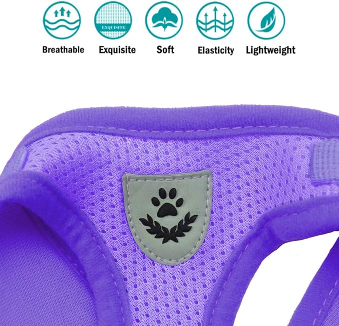 FEimaX Dog Harness and Leash Set for Walking, Soft Mesh Adjustable Easy Control Lightweight Cat Vest Harnesses with Reflective Strips, Escape Proof Small Dogs Cats Vests