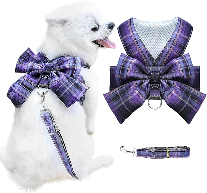 Small Dog Harness with D-Ring, Soft Mesh, Adjustable - Set Includes Harness and Leash