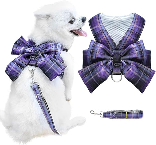 Small Dog Harness with D-Ring, Soft Mesh, Adjustable - Set Includes Harness and Leash