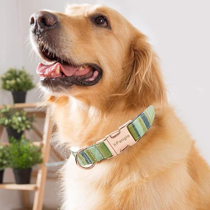Metal Buckle Dog Collar, Durable Adjustable Dog Collar Soft for Small Medium Large Dogs (Green, L(15-23in)