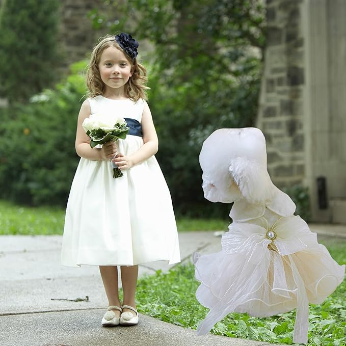 FLAdorepet White Dog Tutu Dress Skirt with Leash Ring,Dog Clothes for Small Dogs Girl,Formal Pet Wedding Attire Dresses, Cat Bridal Outfit Costume (White Bow, X-Small)