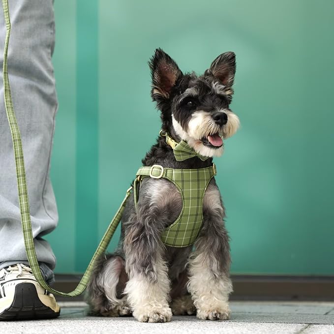 Beirui Cute Small Dog Harness Collar and Leash Set with Bowtie, Soft Adjustable Plaid Puppy Harness for Small Sized Dogs Cats Walks Parties and Photoshoots(Green,XXS:Chest 12-14")