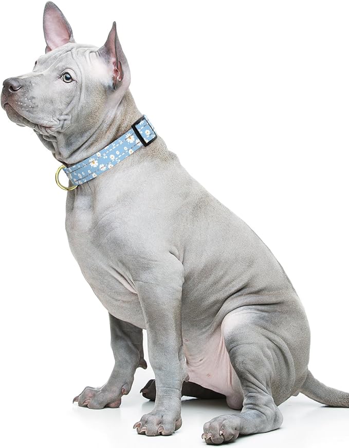 Reflective Dog Collar for Medium Dogs, Cute Daisy Theme Adjustable Heavy-Duty Nylon Puppy Collar for Boy and Girl Female, Soft Pet Accessories with Quick Release Buckle, Neck 14-20", Blue