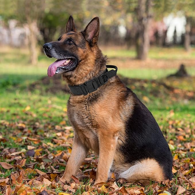 Tactical Dog Collar with Handle - Military Adjustable Dog Training Collar Soft Nylon and Heavy Duty Metal Buckle for Medium Large Dogs - with Patch (Black, X-Large)