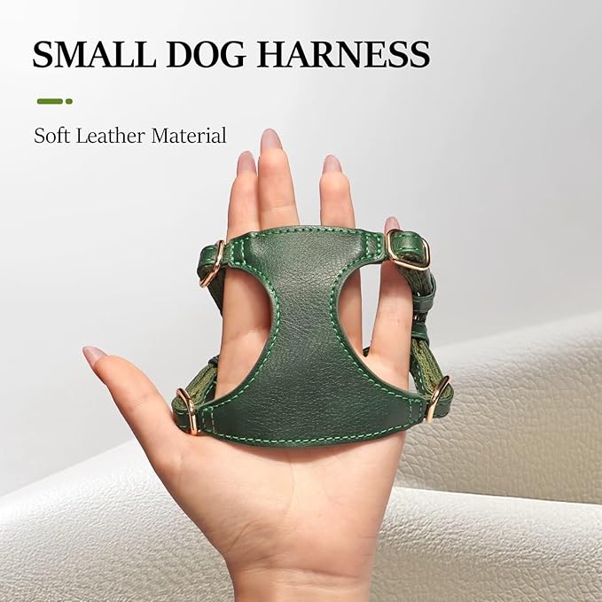 Didog Small Dog Harness and Leash Set, Soft & Lightweight Dog Vest Harness, Adjustable Leather Dog Harness for Small Dogs, Green, XXS