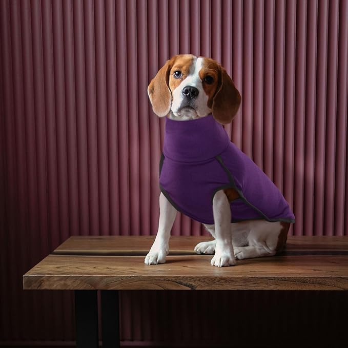 ROZKITCH Dog Winter Coat Soft Pullover Pajamas, Pet Windproof Warm Cold Weather Jacket Vest Cozy Onesie Jumpsuit Apparel Outfit Clothes for Small, Medium, Large Dogs Walking Hiking Travel Sleep Purple