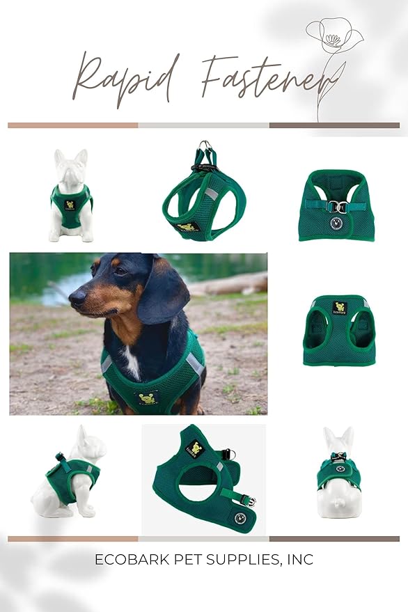 EcoBark Teacup Dog Harness - Step in Luxury Mesh Dog Harness - Reflective and Adjustable Mini Body Halter Vest -Tiny Soft Mesh Toy Breed Harness (Forest Green, XXS)