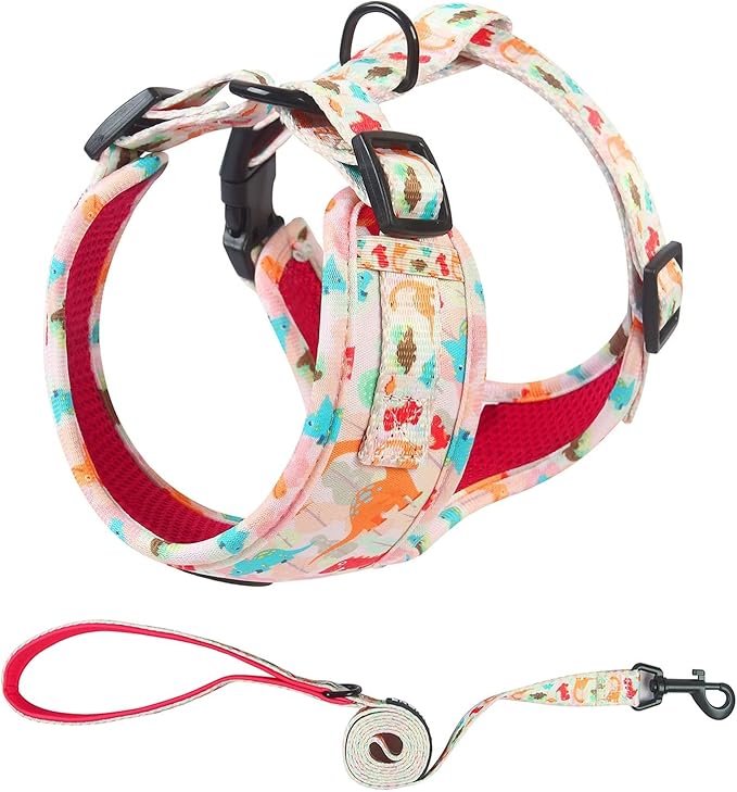 Dog Harness and Leash Set, Adjustable Dog Harness, Dog Leash, No Pull No Choke Puppy Harnesses for Walking Training for Small, Medium, Large Pet